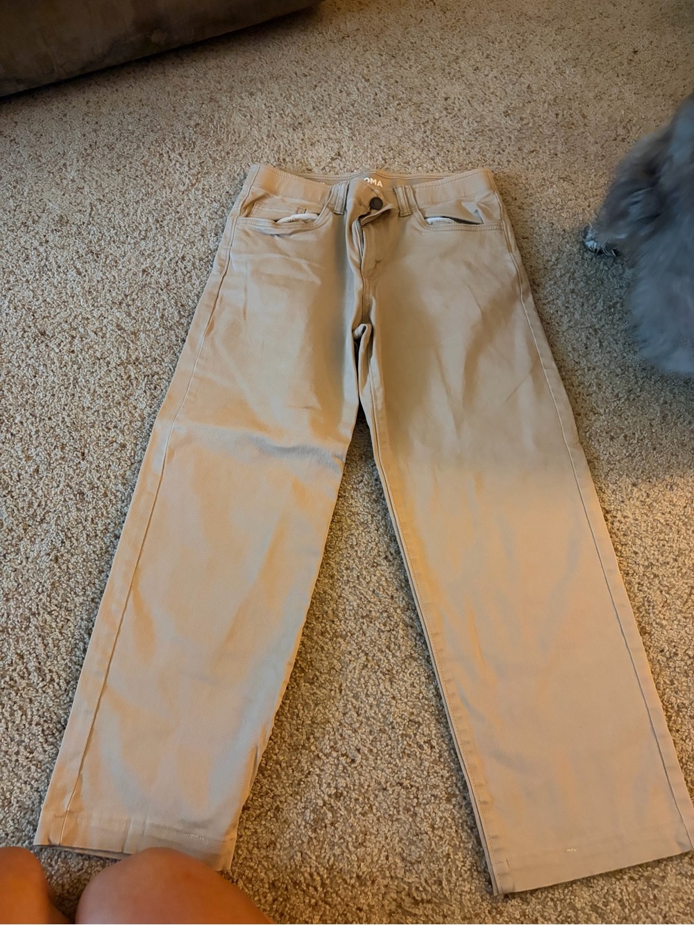 Sonoma Tan Straight-Leg Pants